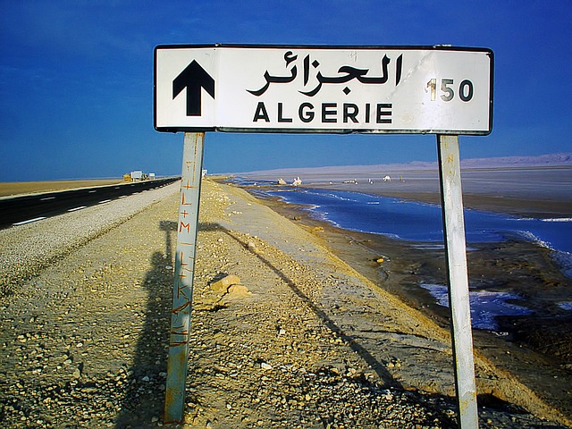 Cezayir'e İhraç Edilmek Üzere Bekleyen Ürünler 4 Haziran 2023