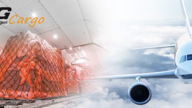 APG AIRLINES, ADB ve ESB Havalimanlarından kargo kabulüne başladı 21 Eylül 2023