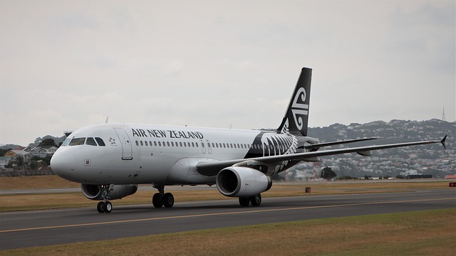 Air New Zealand Cargo, dijital kargo pazar yeri CargoMART'a yerini aldı 3 Mart 2024