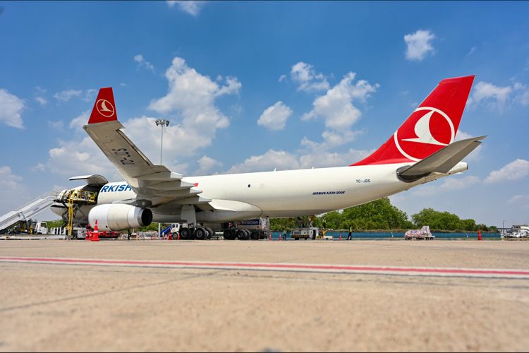 Türk Hava Yolları, Yeni Destinasyonlarda Tanıtım Programlarına Devam Ediyor 3 Mart 2024