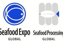 Seafood Expo Global'a 33.000'den fazla alıcı ve tedarikçi katıldı 22 Eylül 2023