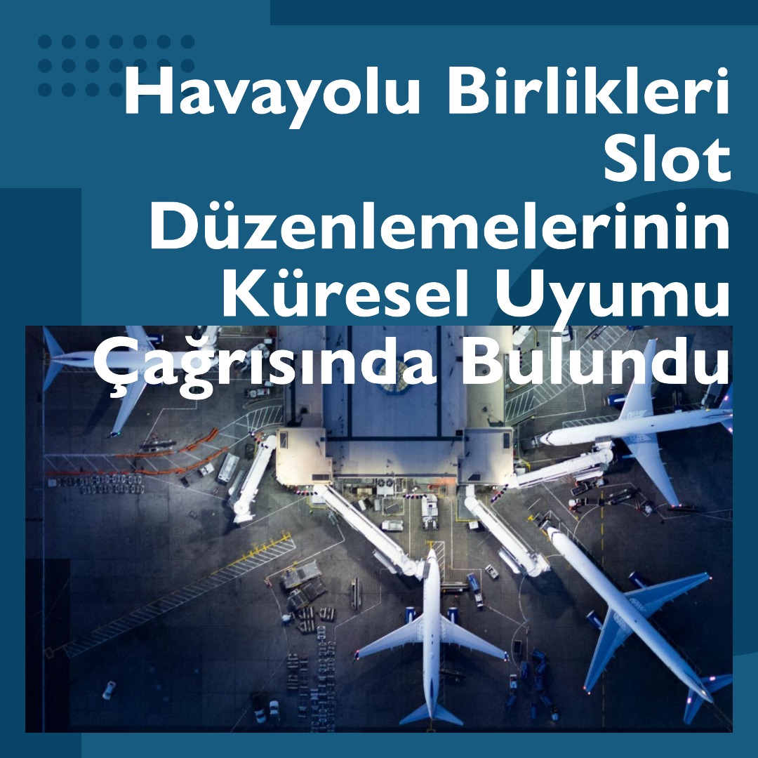 havayolu birlikleri