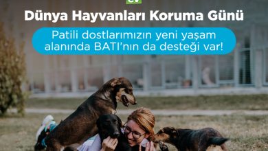 BATI INNOVATIVE