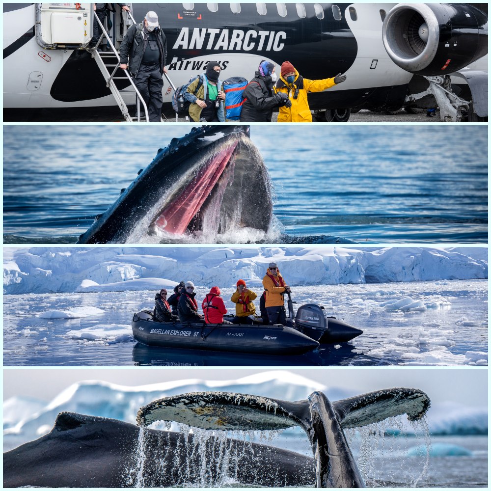 Türk turizmci, seyahat tutkunlarını uçakla Antarktika’ya indiriyor 20 Mayıs 2024