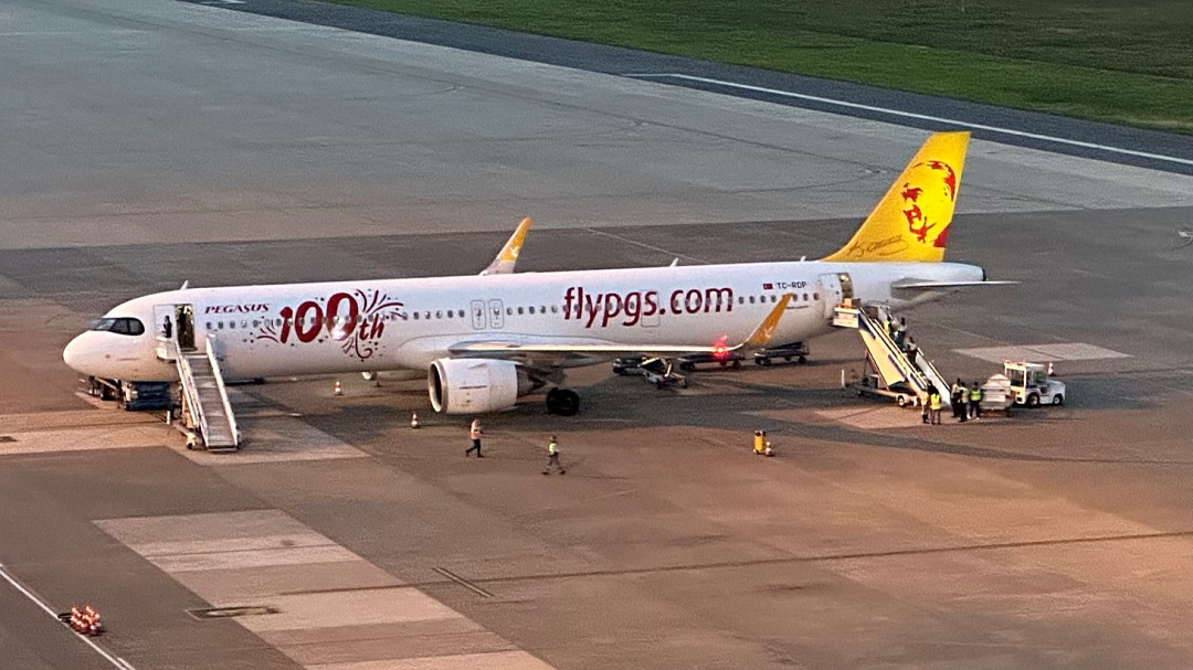 pegasus