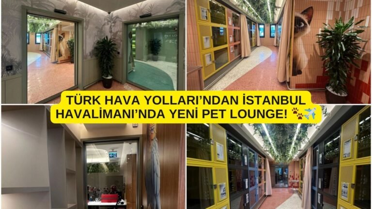 Türk Hava Yolları’ndan İstanbul Havalimanı’nda Yeni Pet Lounge!