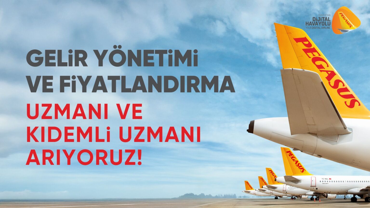 Pegasus Gelir Yönetimi ve Fiyatlandırma ekibine katılmak ister misiniz? 30 Haziran 2025