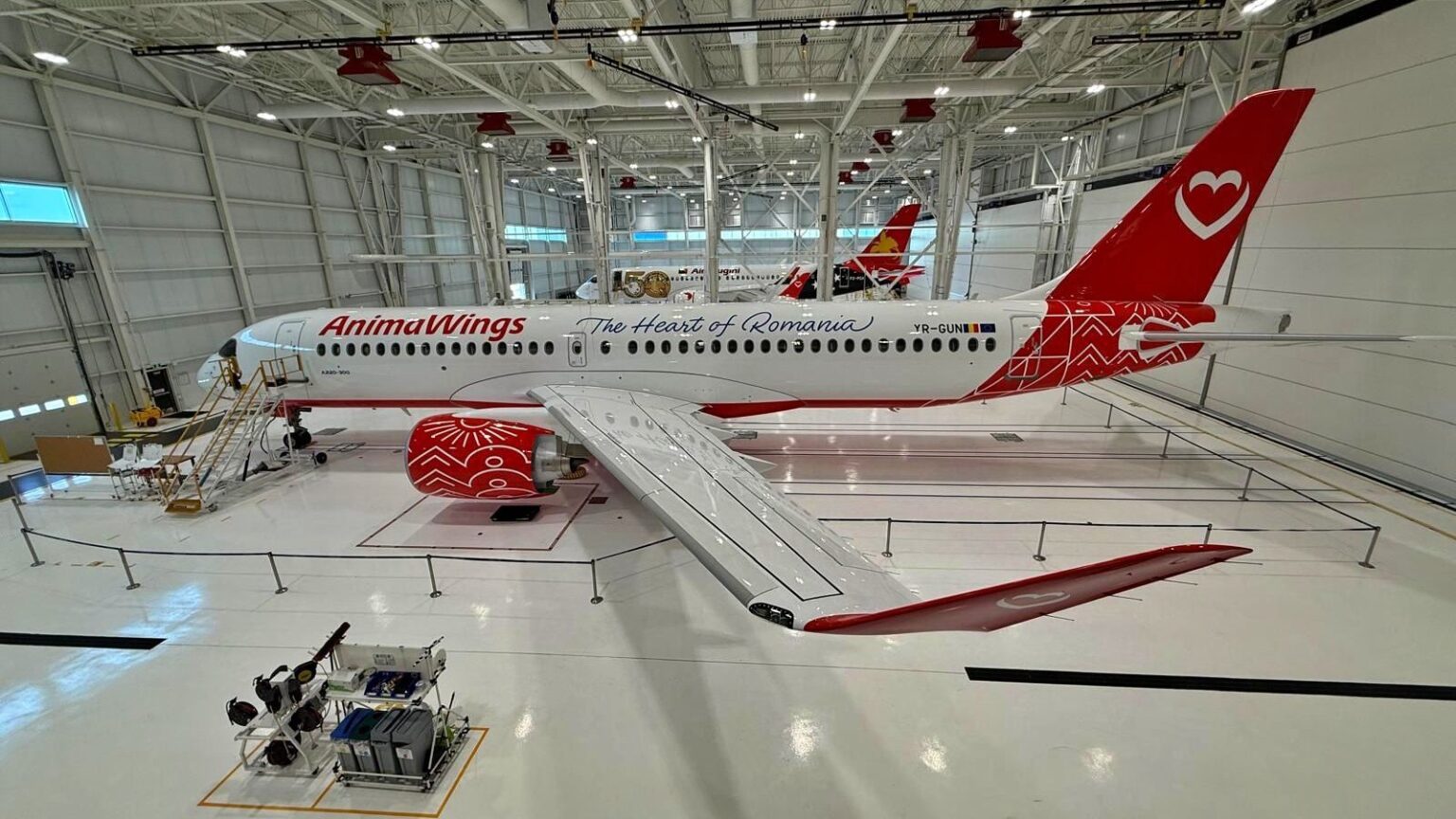 ANIMAWINGS’TEN TÜRKİYE’YE GÜZEL HABER 26 Ocak 2026