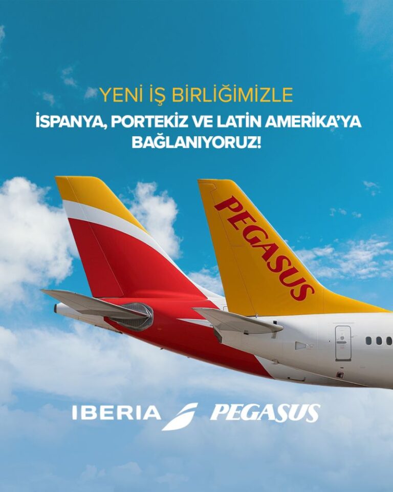 pegasus