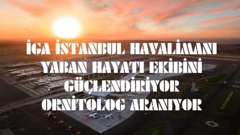 İGA İSTANBUL HAVALİMANI YABAN HAYATI EKİBİNİ GÜÇLENDİRİYOR: ORNİTOLOG ARANIYOR