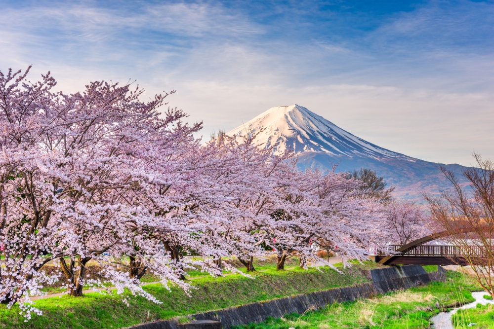 Gelenekten geleceğe otantik adaların ülkesi: Japonya 2 gelenekten